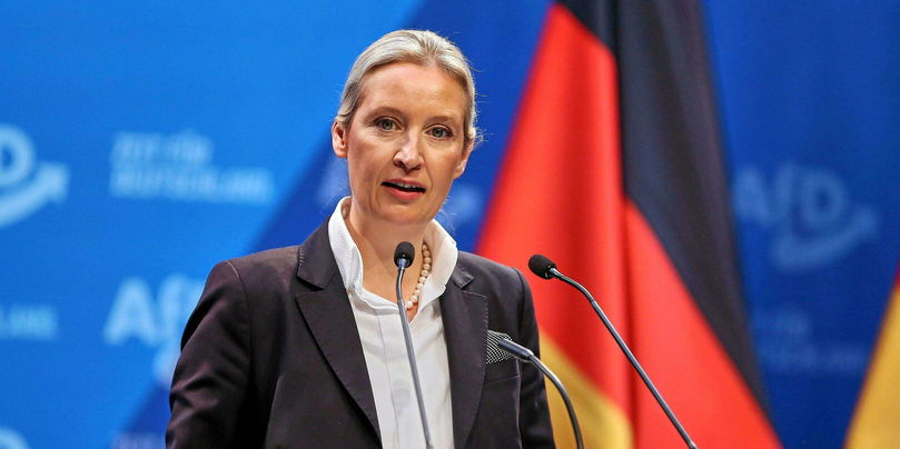 Allemagne : théories complotistes après la mort de 7 candidats de l'AfD