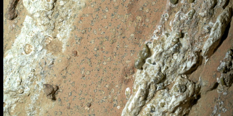 Ces mystérieuses « taches léopard » découvertes par Perseverance sur une roche martienne pourraient témoigner de réactions chimiques ayant soutenu une vie microbienne il y a des milliards d'années.
